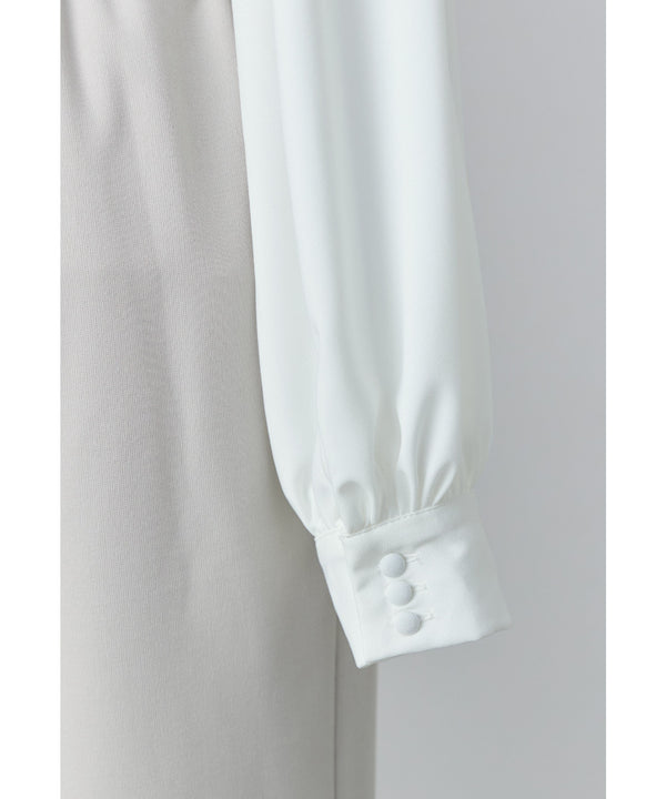 {"color":"","info":""}