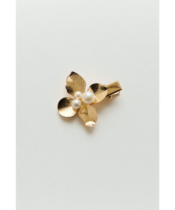 {"color":"","info":""}