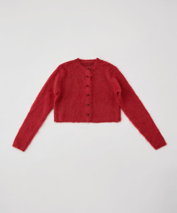 {"color":"\u30ec\u30c3\u30c9","info":""}