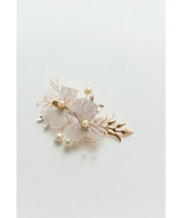 {"color":"","info":""}