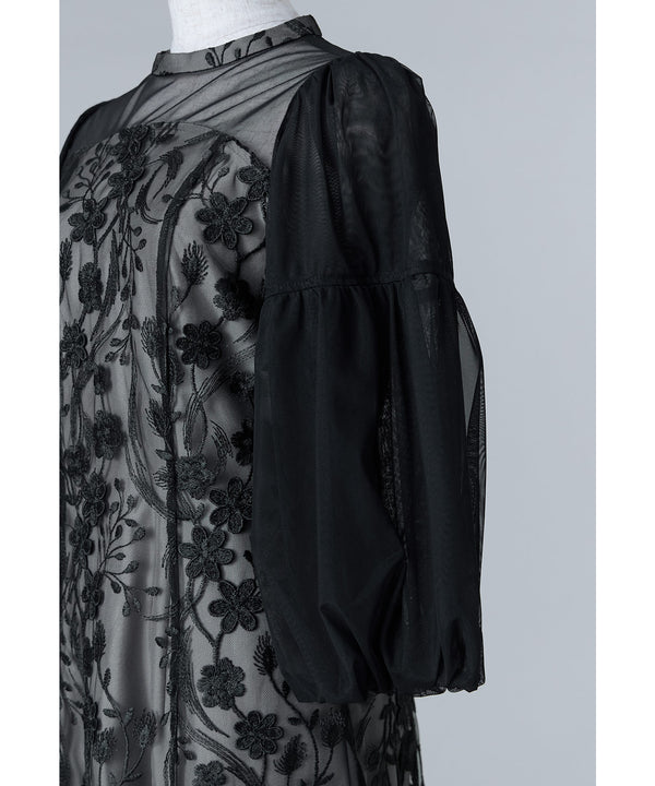 {"color":"","info":""}