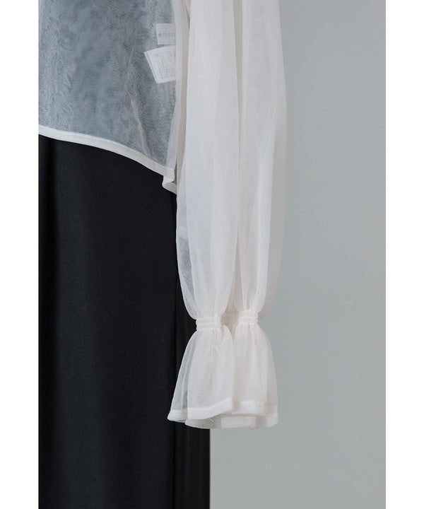 {"color":"","info":""}