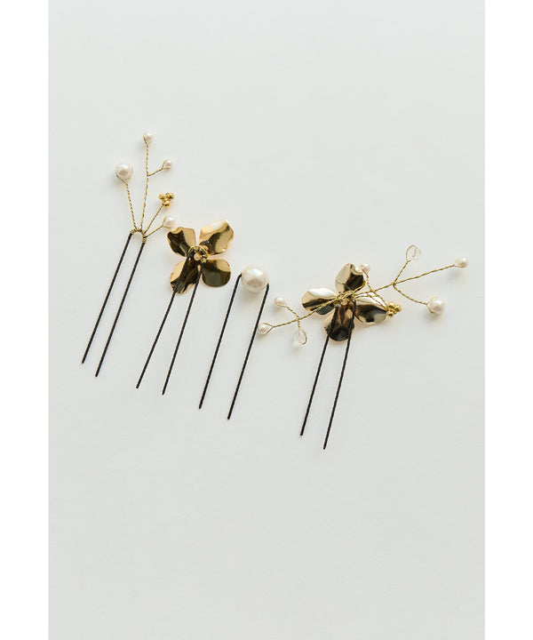 {"color":"","info":""}