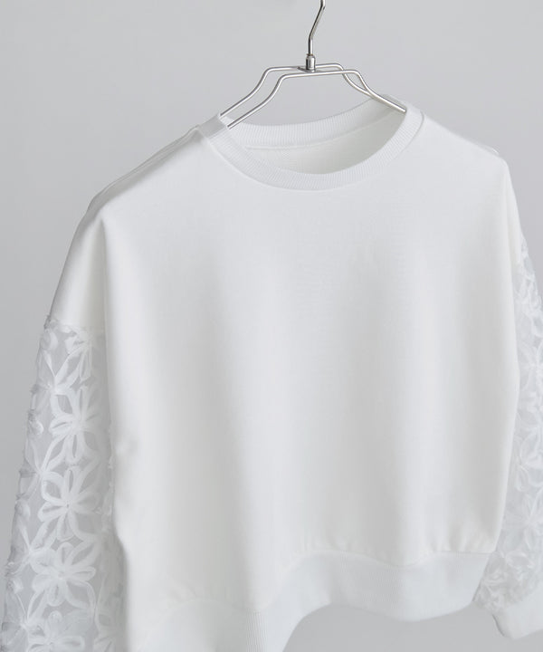 {"color":"","info":""}