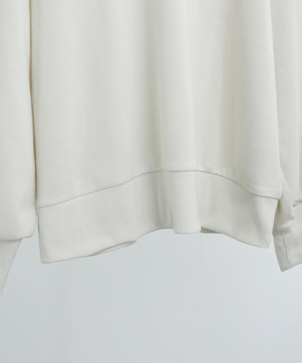 {"color":"","info":""}