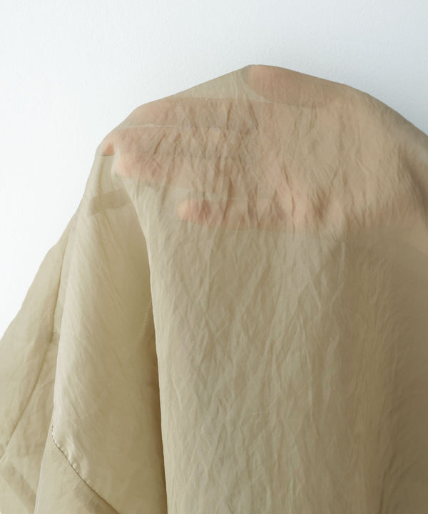 {"color":"","info":""}